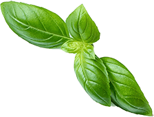 διατροφή ίλιον